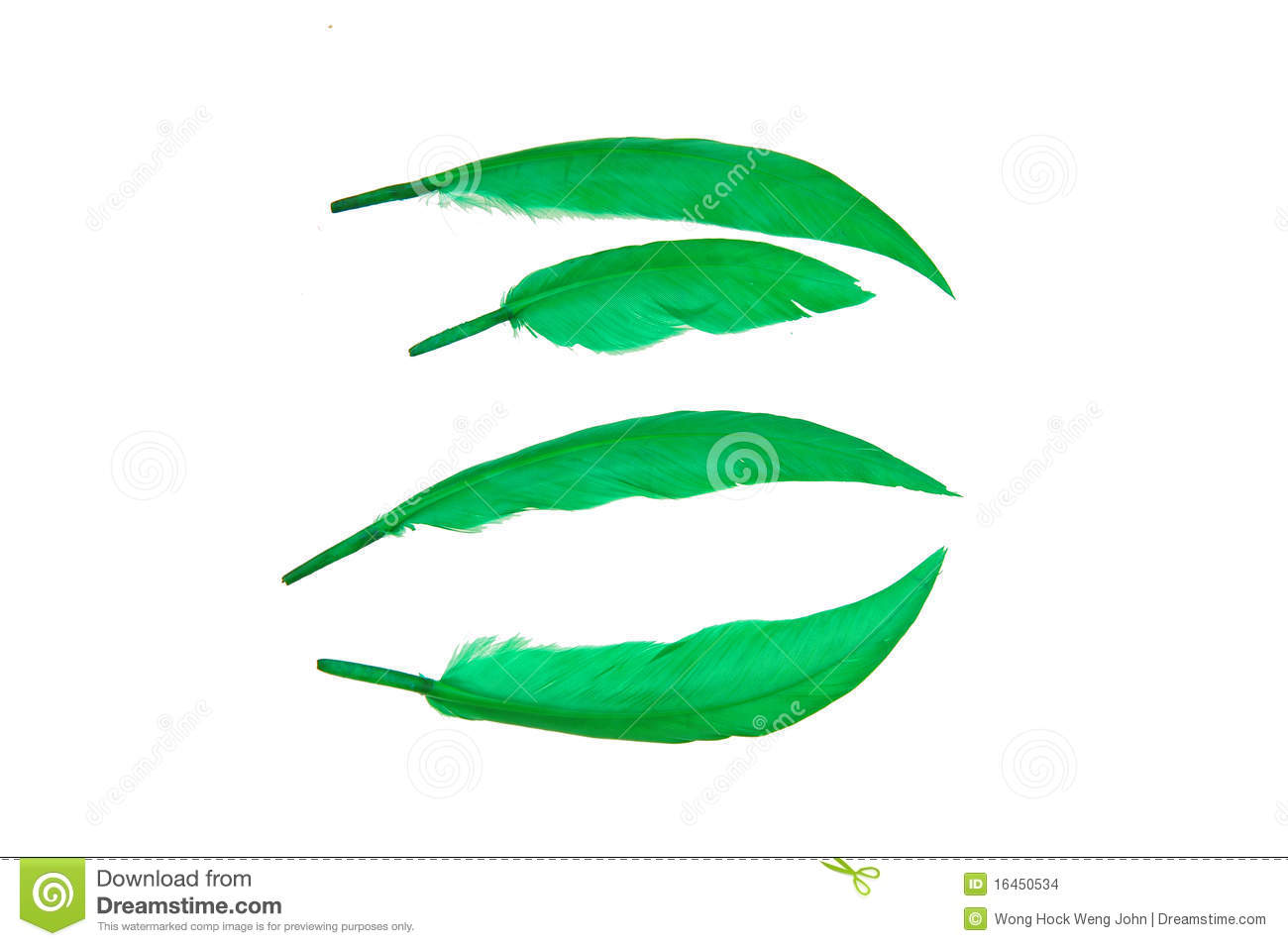 Green Bird Feather Stock Images   Image  16450534