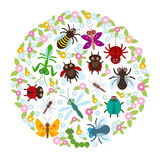 In A Circle Funny Insects Spider Butterfly Dragonfly Mantis Beetle