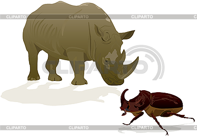Rhinoceros And Rhino Beetle On White Background     Sergey Skryl
