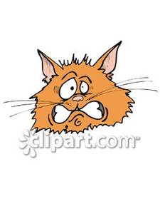 Scaredy Cat   Royalty Free Clipart Picture