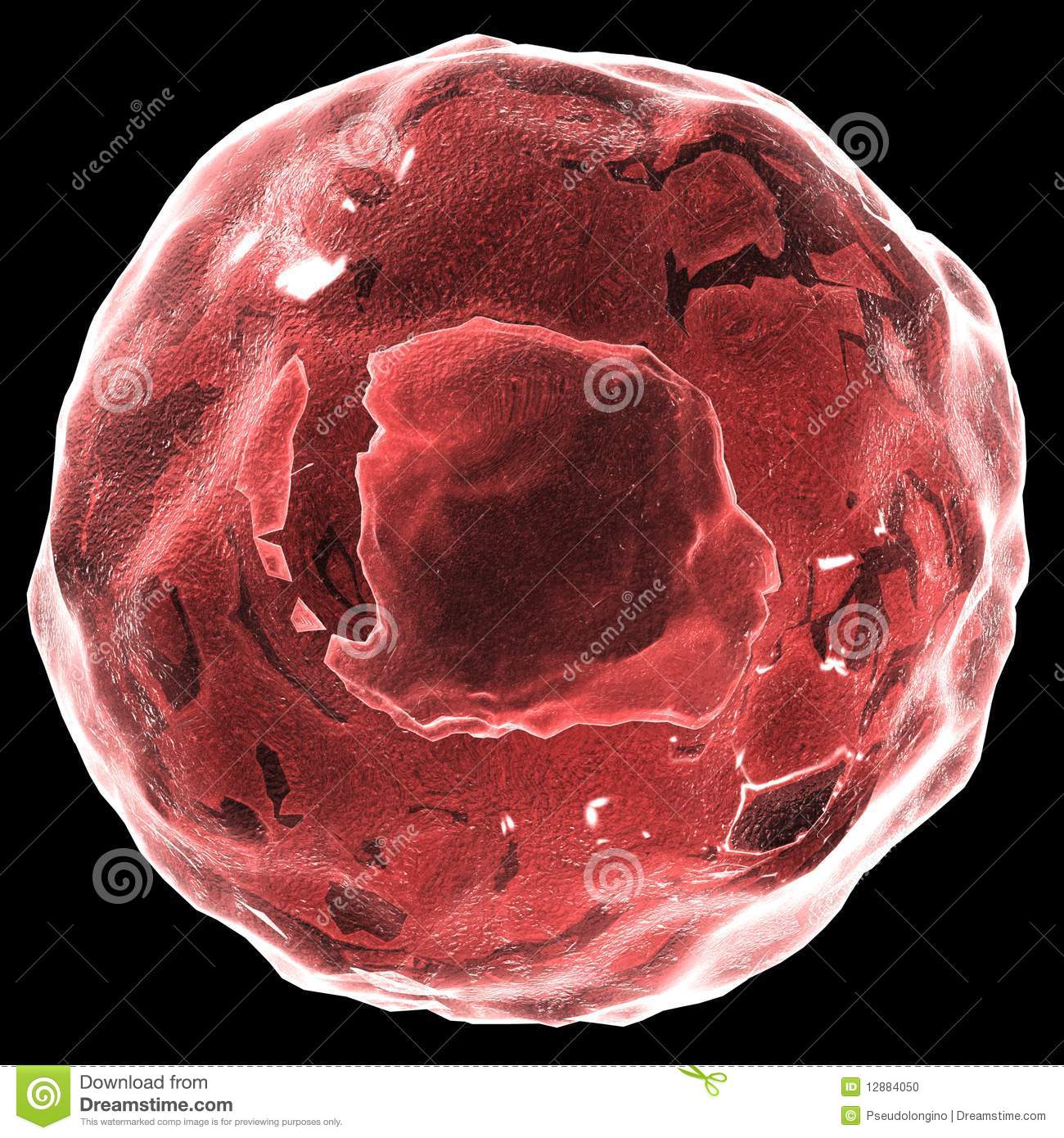 Skin Cell Stock Photo   Image  12884050