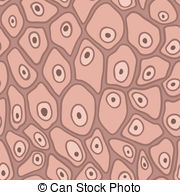 Skin Cells Illustrations And Clip Art  1363 Skin Cells Royalty Free