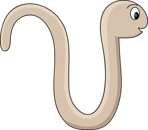 Worm Clip Art Images Worm Stock Photos   Clipart Worm Pictures