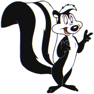Afraid I M The Bearer Of Bad News I Didn T Win The Skunks Are Cool