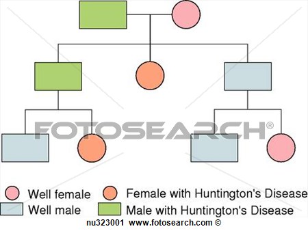 Famille Ascendance Projection Autosomal Dominant Inheritance    