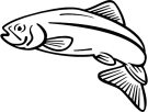Salmon Clipart   