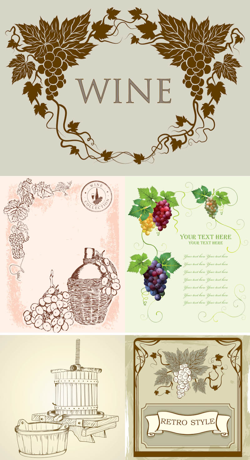 Vintage Wine Cards Vector Set Of 5 Vector Vintage Wine Card Design    