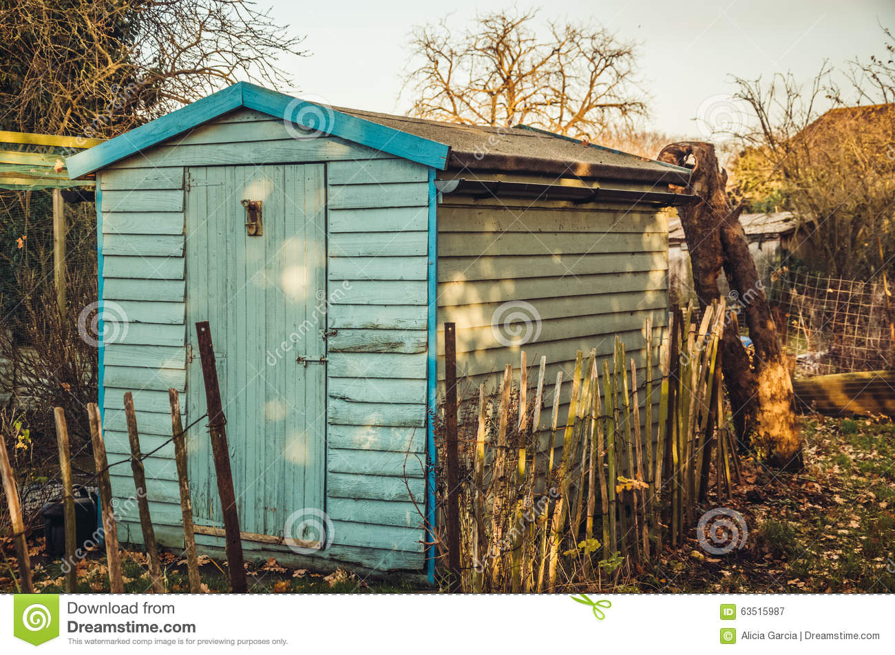 Blue Shed In Allotments Stock Photo   Image  63515987