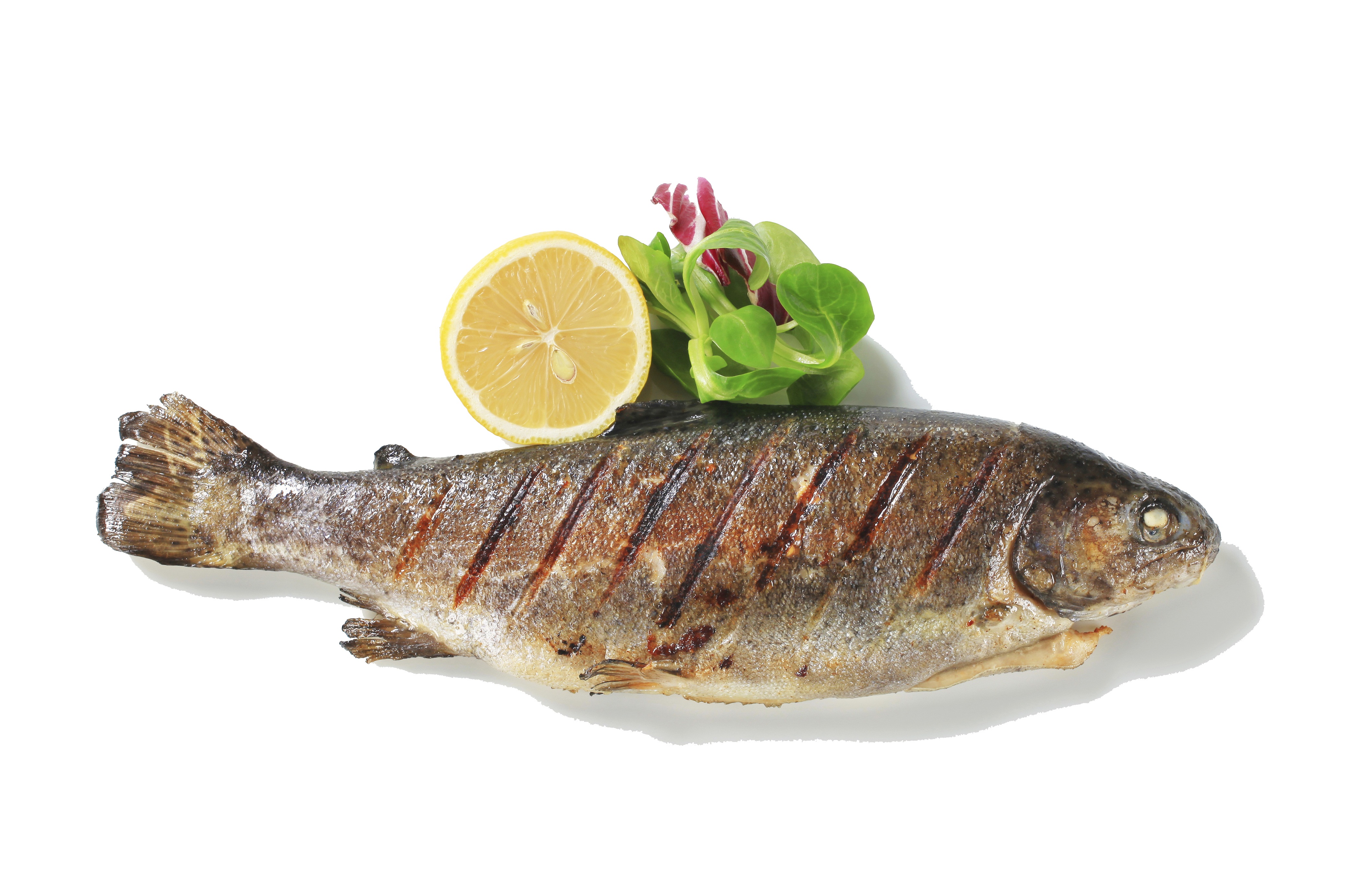 Displaying 19  Images For   Clipart Cooked Fish