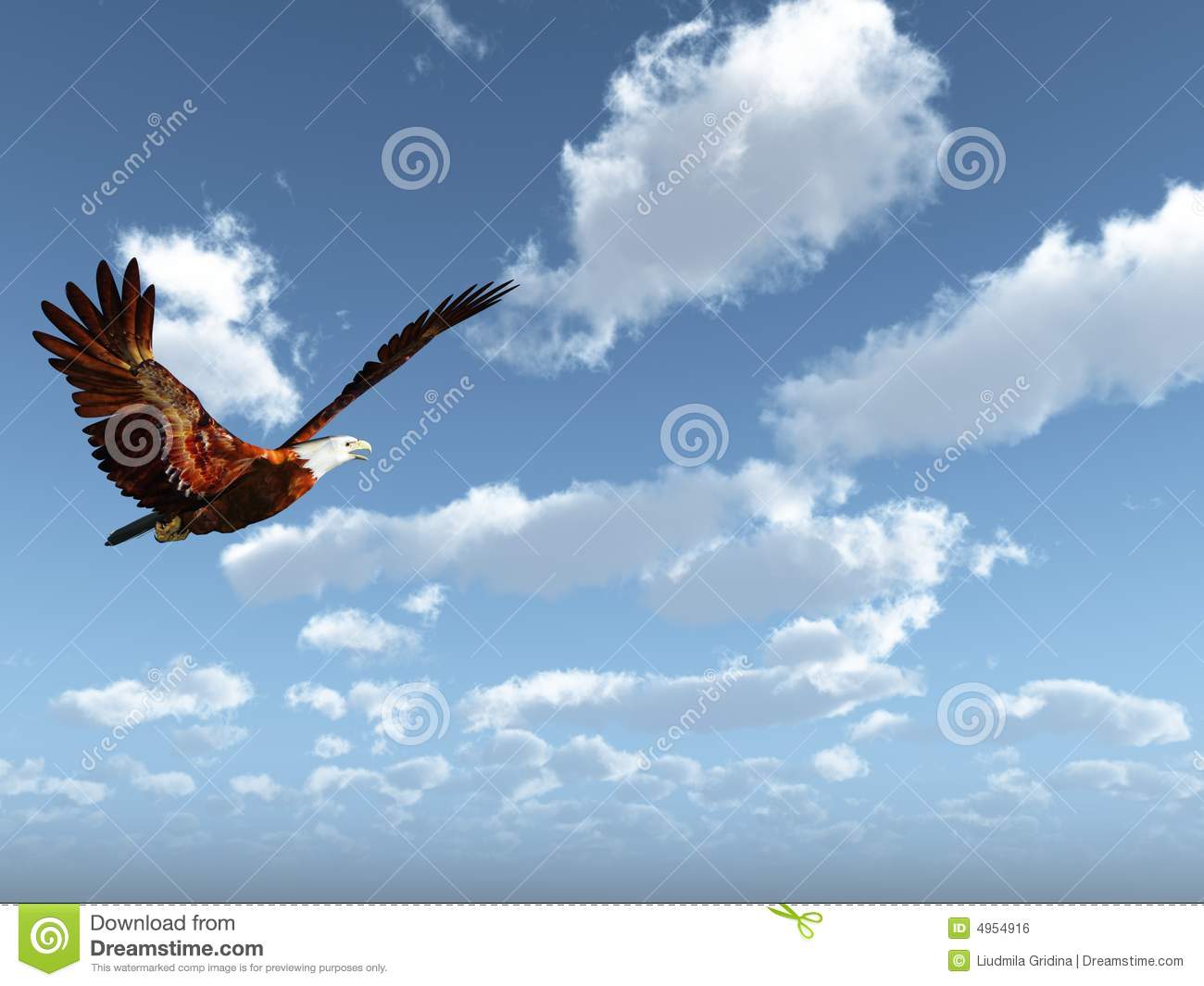 Eagle Flying On A Background Of The Dark Blue Sky 