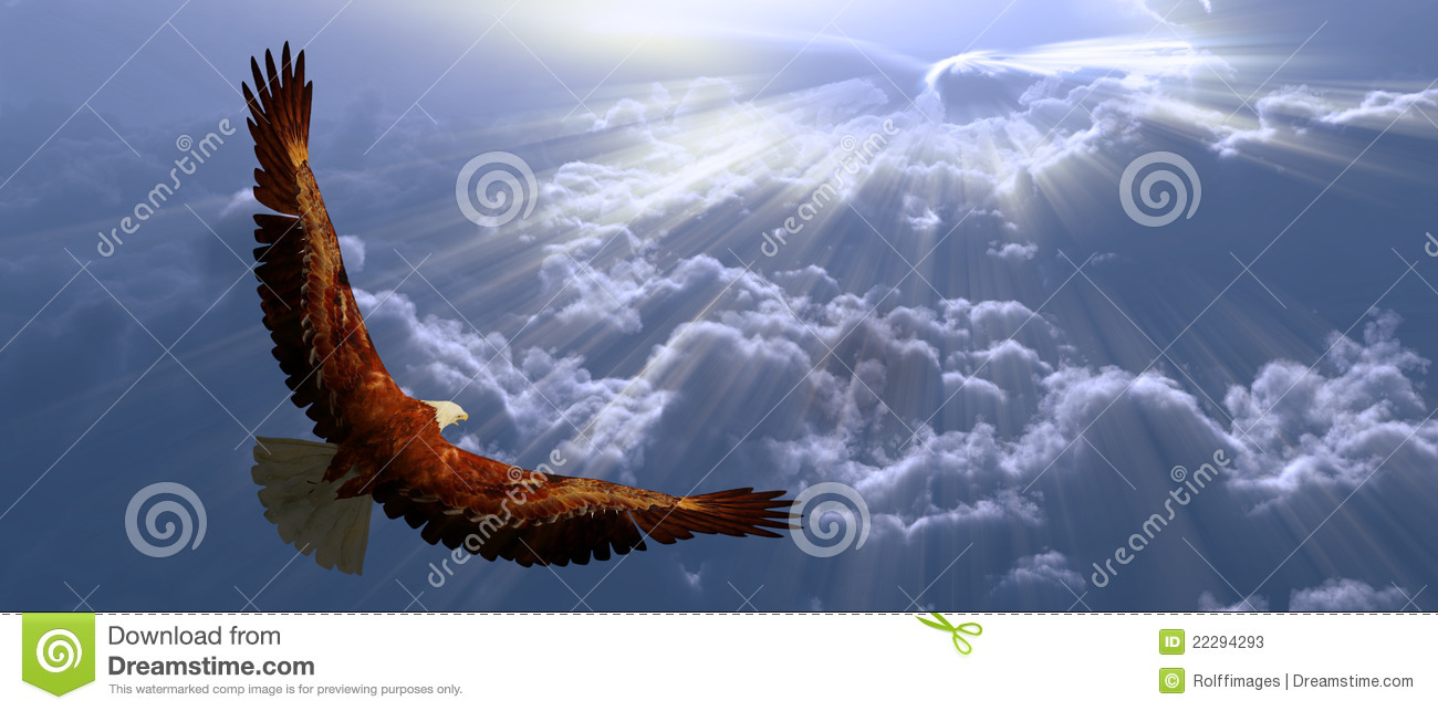 Eagle In Flight Above Tyhe Clouds Stock Photos   Image  22294293