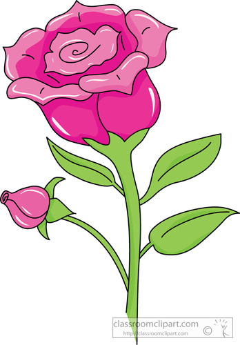 Flowers   Single Pink Rose 04   Classroom Clipart