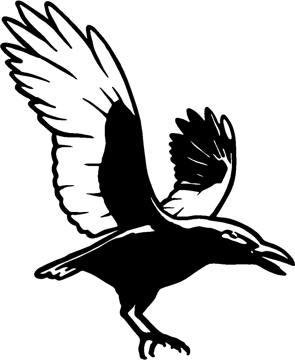 Flying Crow Drawing