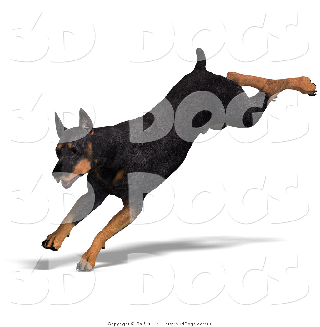 Jumping Dog Clip Art Pictures