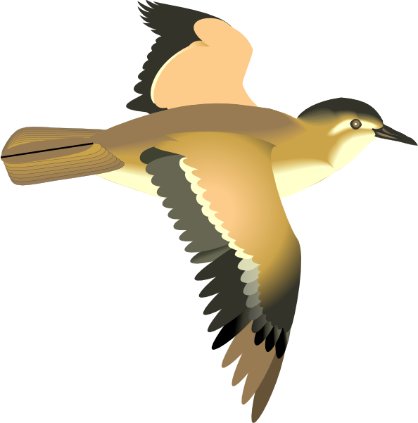 Mockingbird Flying Clipart Flying Bird Clip Art   Vector