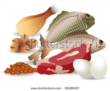 Nutritional Group With Fish Meat Beans Nuts Eggs And A Part Of