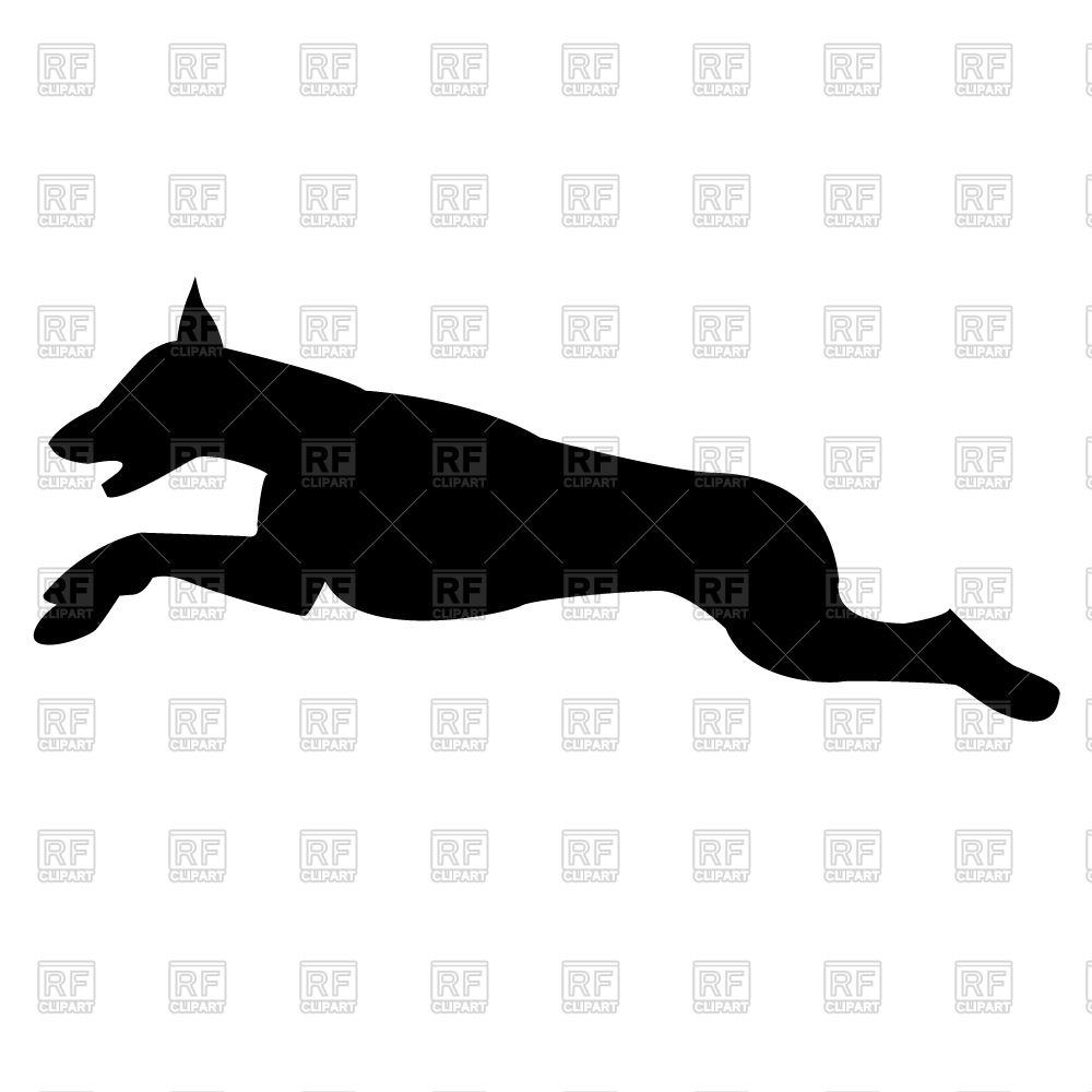 Of Jumping Dog   Doberman Download Free Vector Clipart  Eps