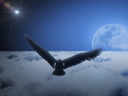Preview For Eagle Soaring Clouds Night