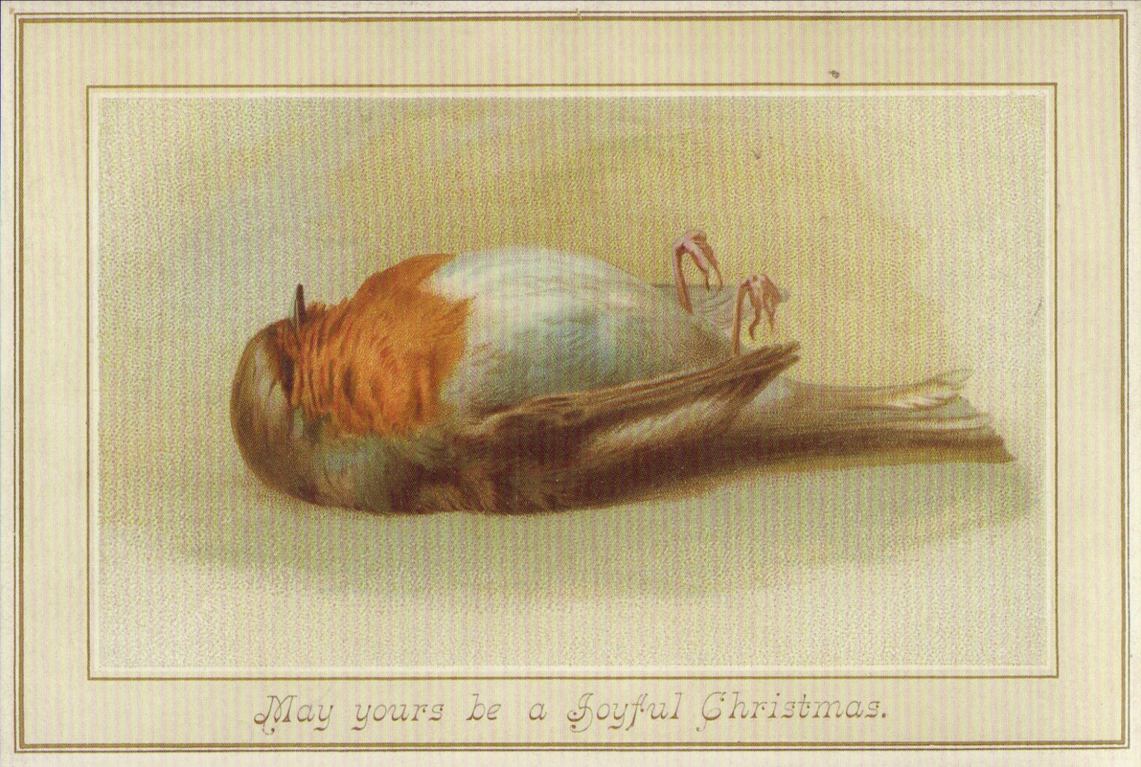 Beautifully Drawn Dead Birds Was Quite Popular In The Late 1800s  Wth
