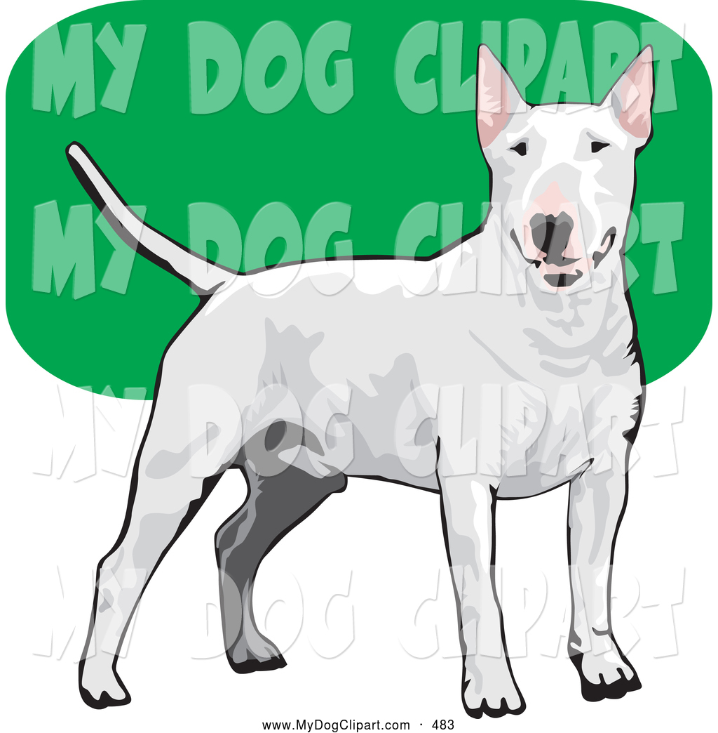 Clip Art Friendly Tan And White Pit Bull Dog With Cropped Ears