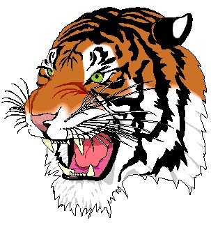 Tiger2 Jpg