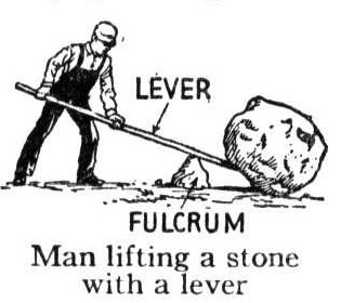     In Life Because They Can T Distinguish The Fulcrum From The Lever