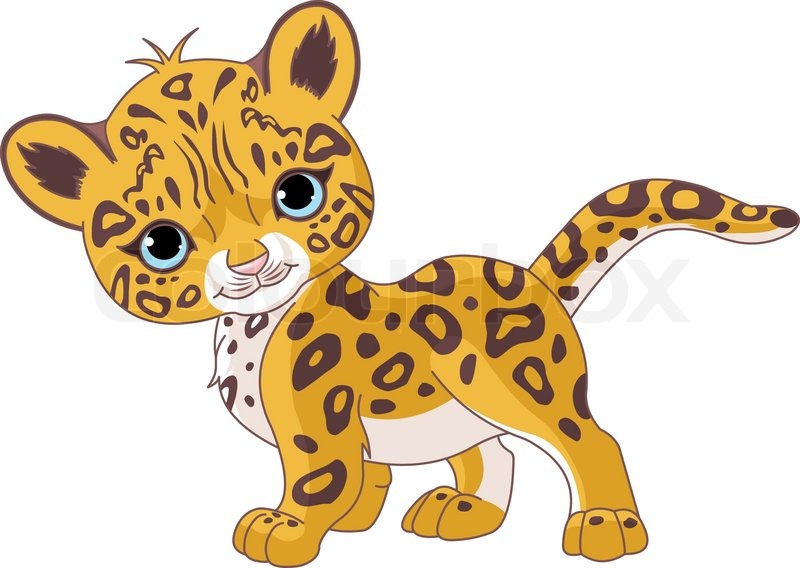 Leopard Cartoon Cheetah   Vector   Colourbox