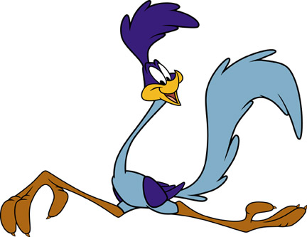 Looney Tunes Character Road Runner The Fastest Bird On Earth The Road    
