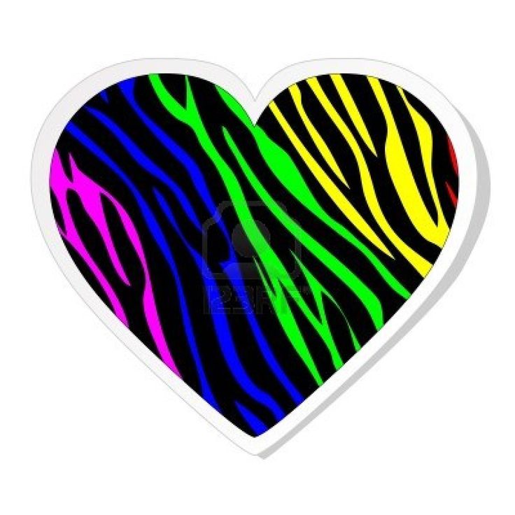 Rainbow Zebra Heart Sticker Stock Photo   Background Prints   Pintere