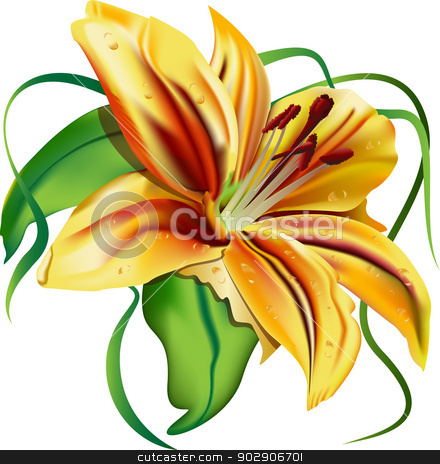 Beautiful Tiger Lily Stock Vector Clipart Beautiful Tiger Lily