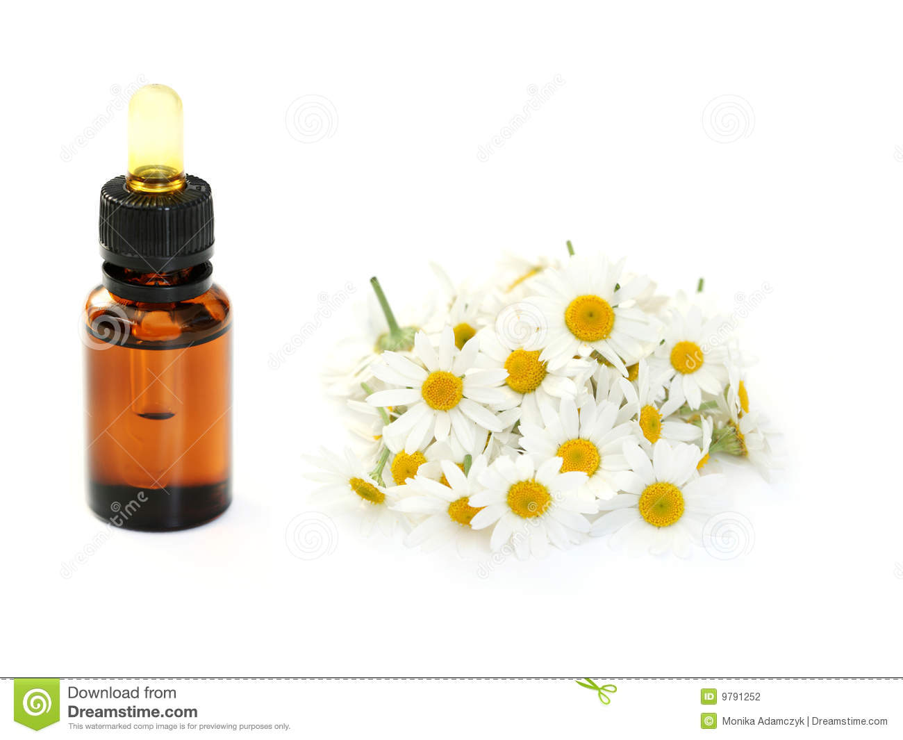 Bottle Of Camomille Essential Oil On White   Beauty Treatment 