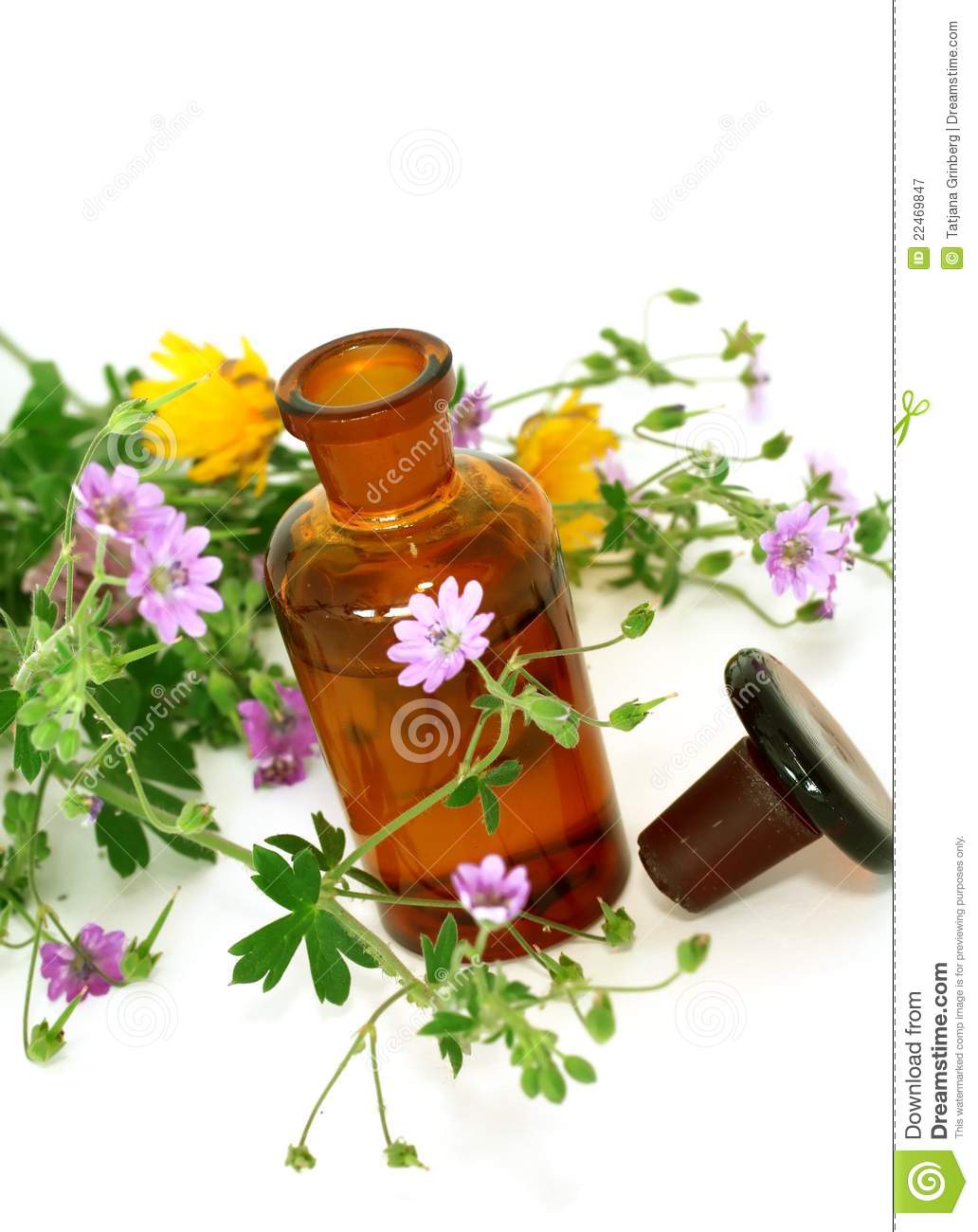 Bottle Of Essential Oil And Flowers Isolated On Wh Royalty Free Stock    