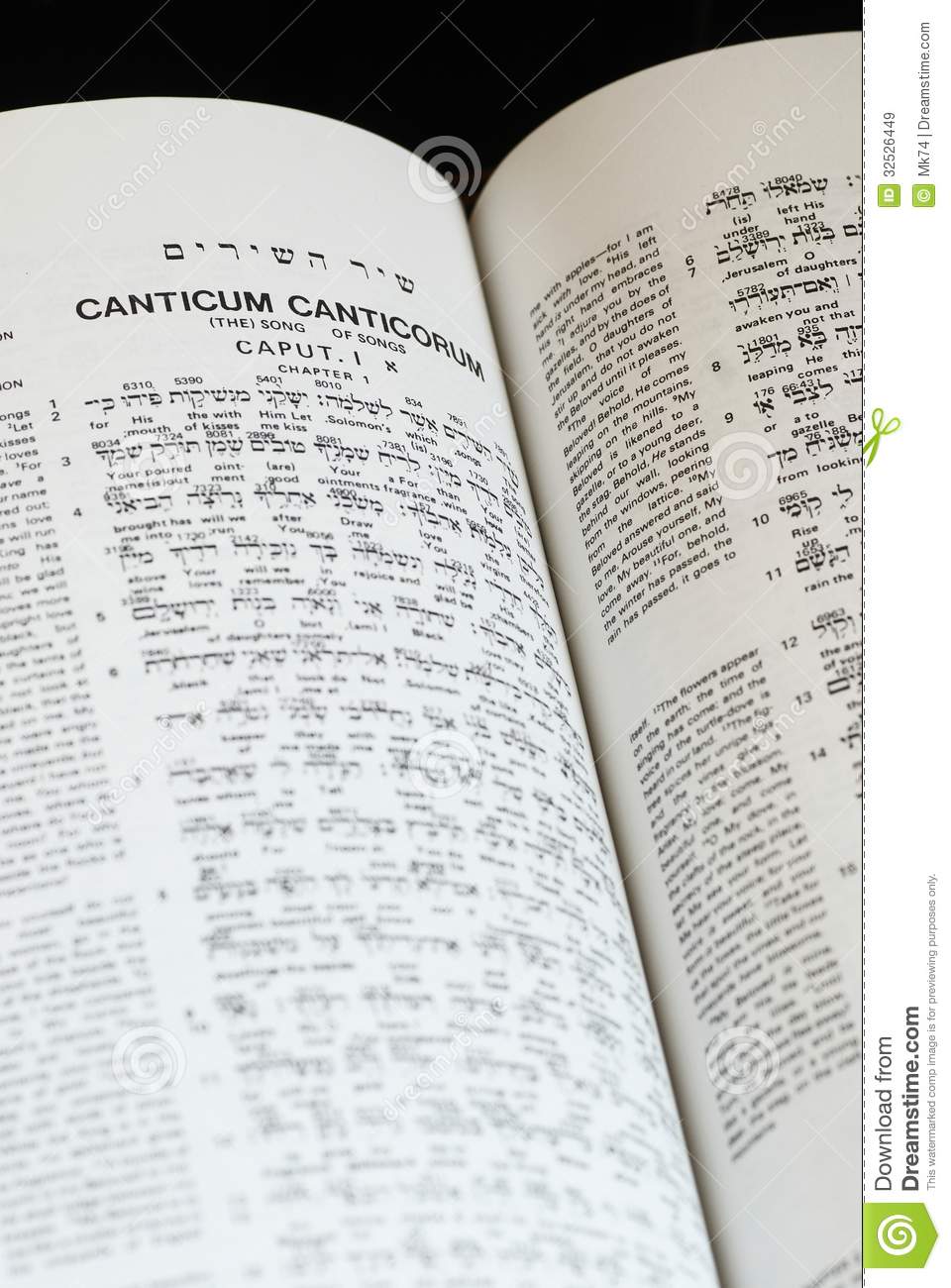 Close Up Of The Interlinear Bible   Hebrew Greek And English