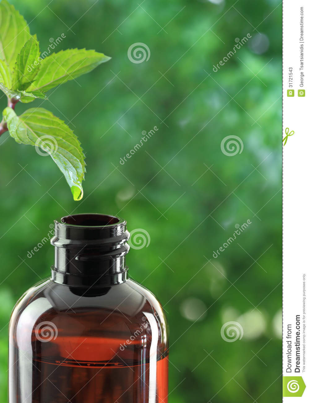 Drop Falling Of Mint Leaf In An Essential Oil Bottle 
