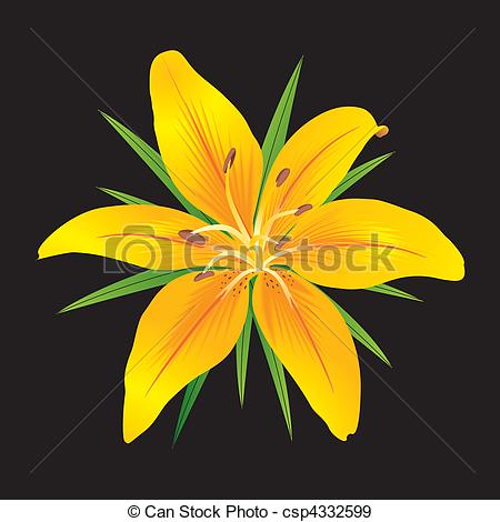 Eps Vectors Of Lilium   Orange Tiger Lily With Green Leaves On Black