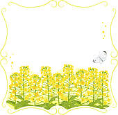Framed Canola Flowers   Clipart Graphic