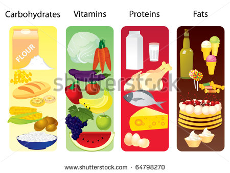 Mostly Carbohydrates Vitamins Proteins And Fats   Stock Vector
