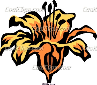 Tiger Lily Clipart   Free Clip Art Images