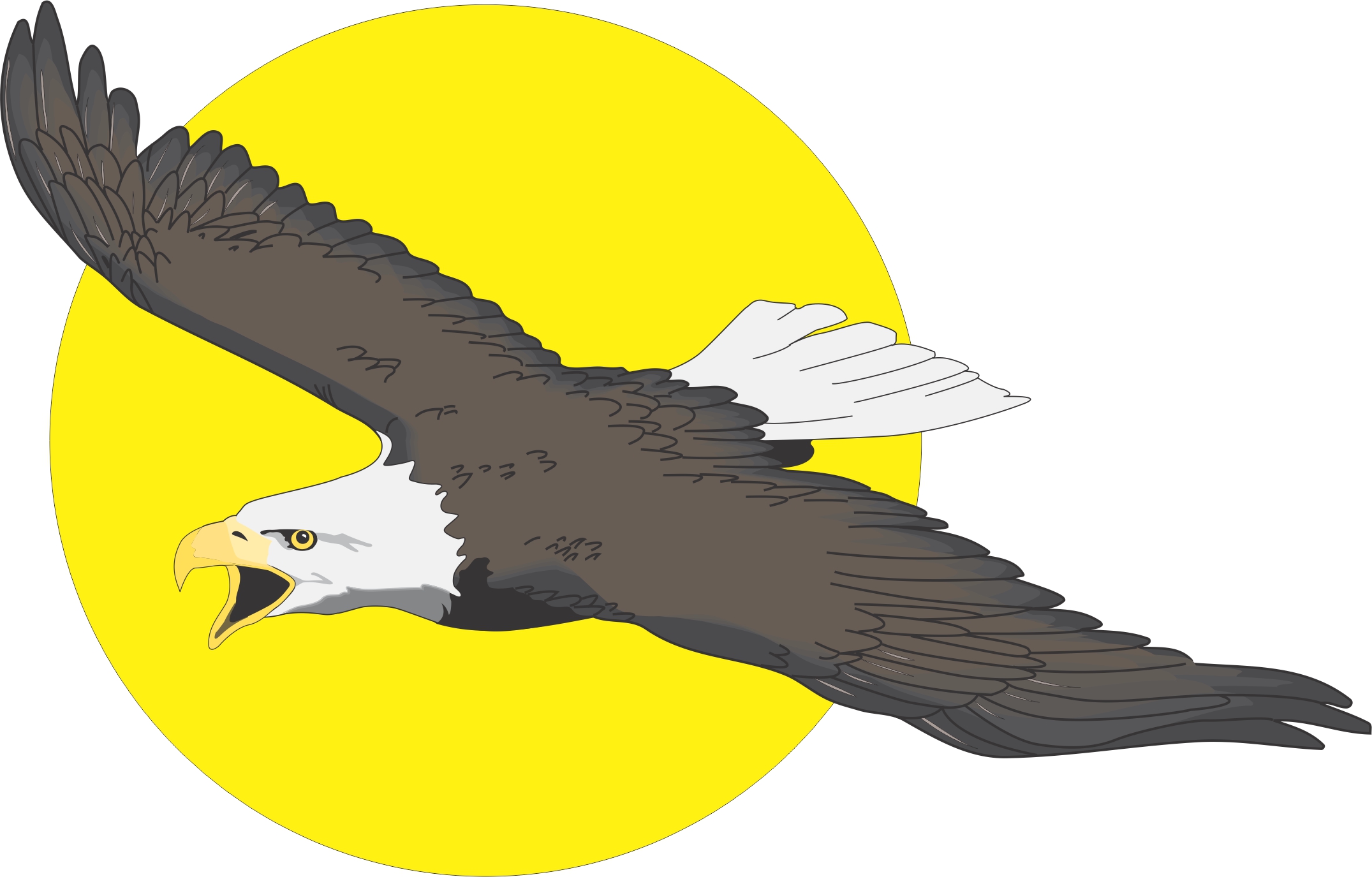 Cartoon Eagle   Page 2   Clipart Best   Clipart Best