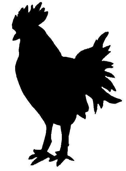Chicken Silhouette   Clipart Best