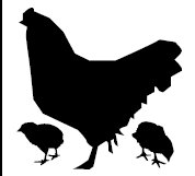 Chicken Silhouette   Clipart Best