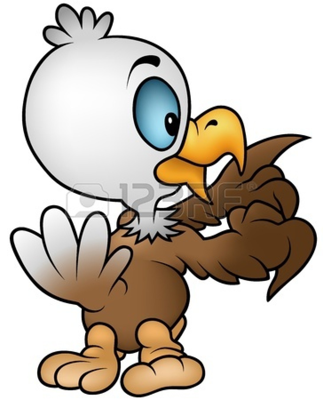 Cute Eagle Clipart 12484077 Little Bald Eagle  Cartoon Illustration