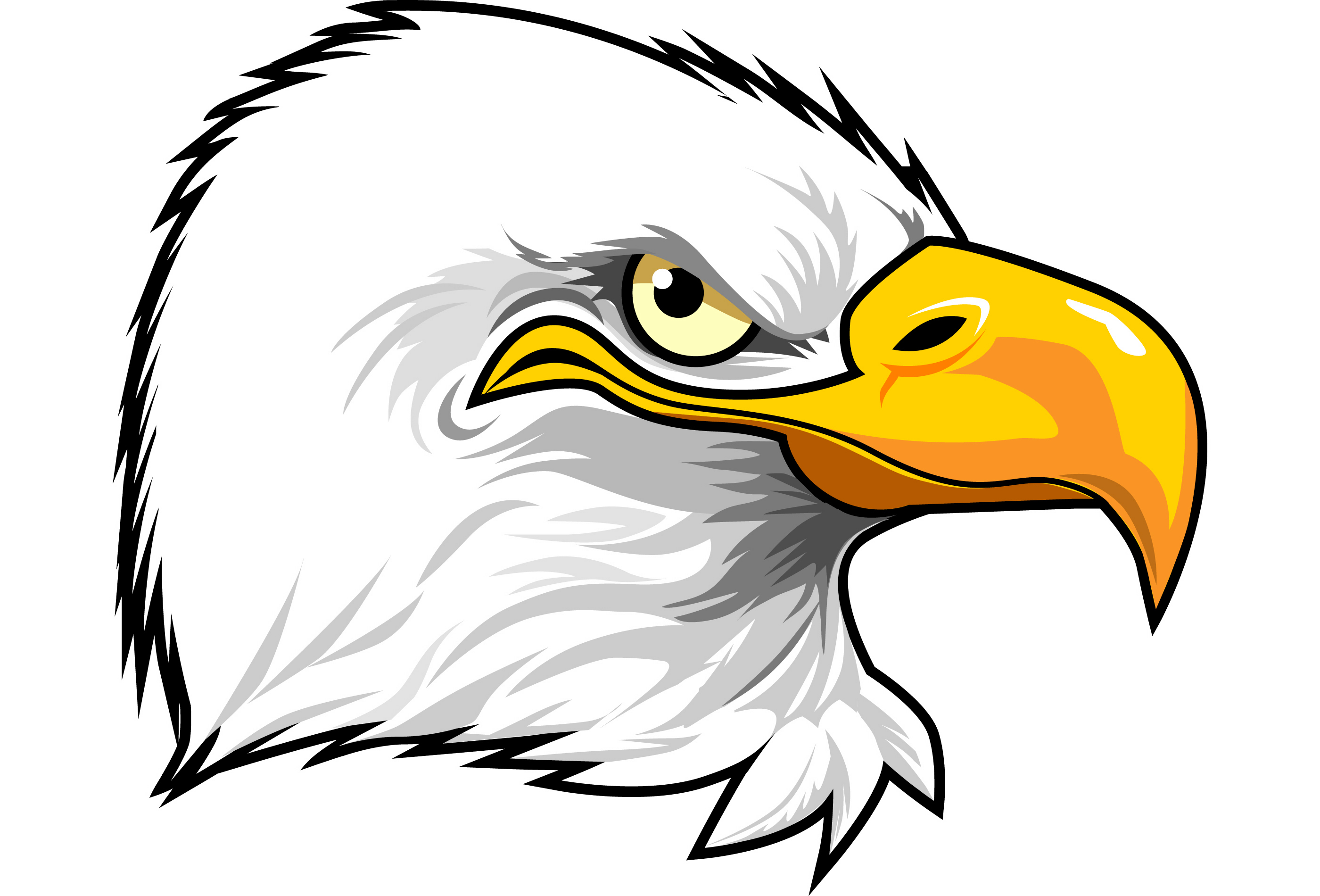 Eagle Cartoon Pictures