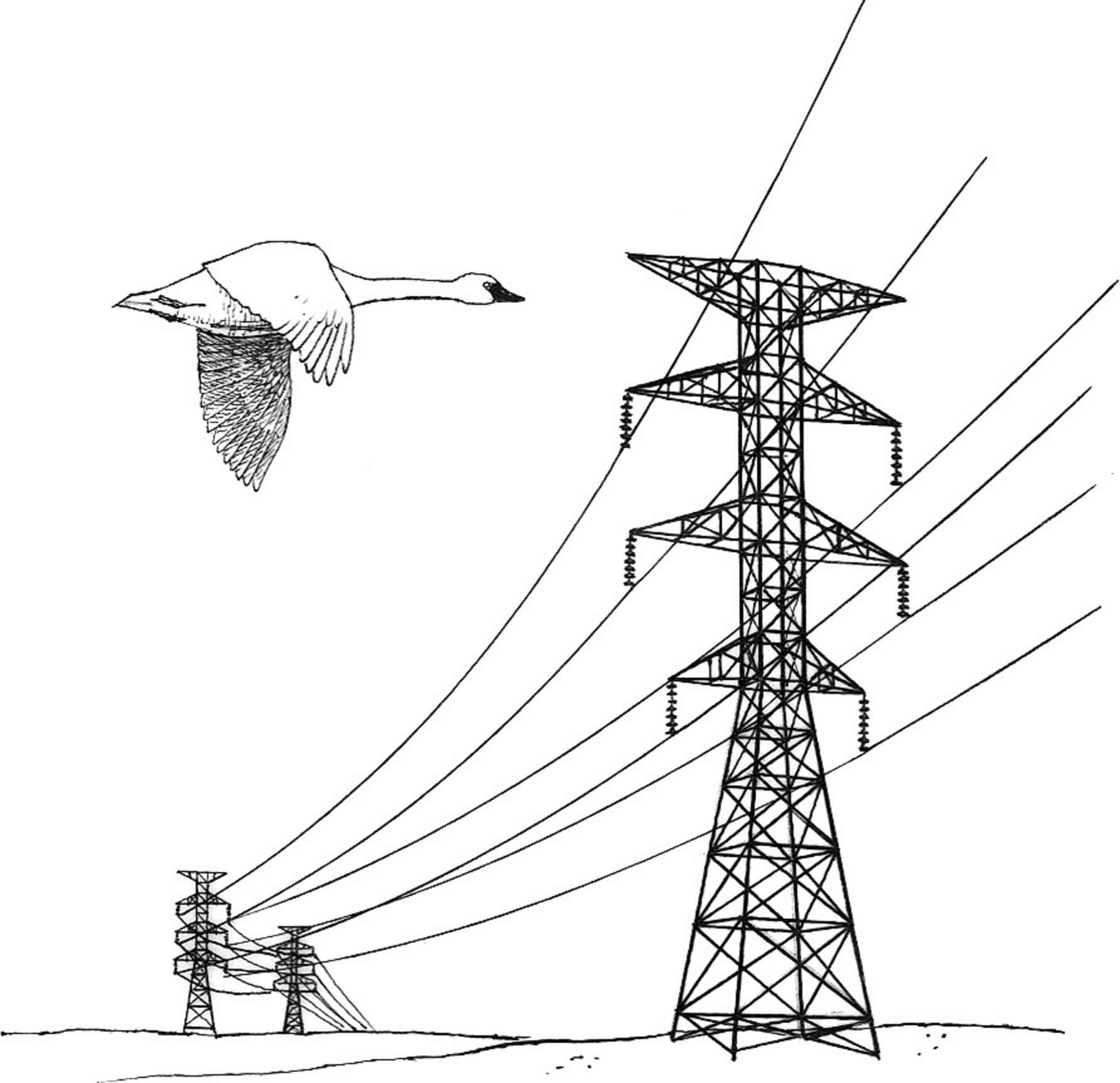File Power Lines Hazard Illustration Jpg   Wikimedia Commons