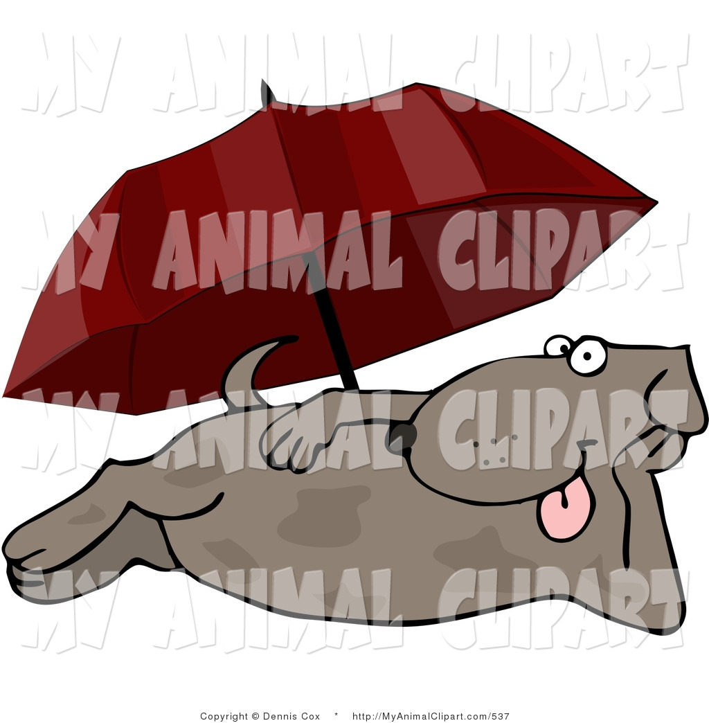 Happy Brown Summertime Dog Laying At The Beach Under An Umbrella By