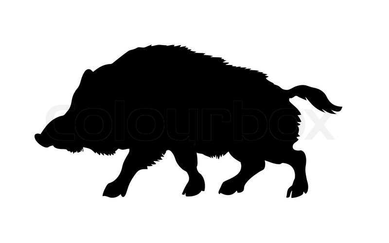 1541861 Silhouette Of The Wild Boar Isolated On White Background Jpg