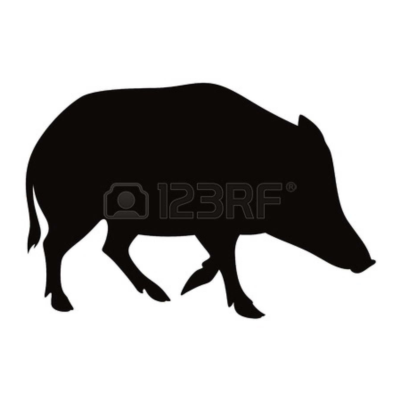 Boar 20clip 20art 11783101 Boar Animal Pig Beast Nature Vector