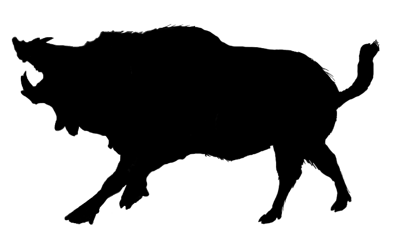 Boar Head Silhouette I Revised The Boar To Look