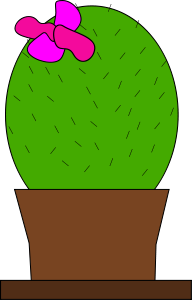 Cactus Design Cactus 3 Green Cactus 2 Cactus Cactus Cactus Cactus