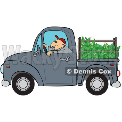 Corn In The Bed   Royalty Free Vector Clipart   Dennis Cox  1127095